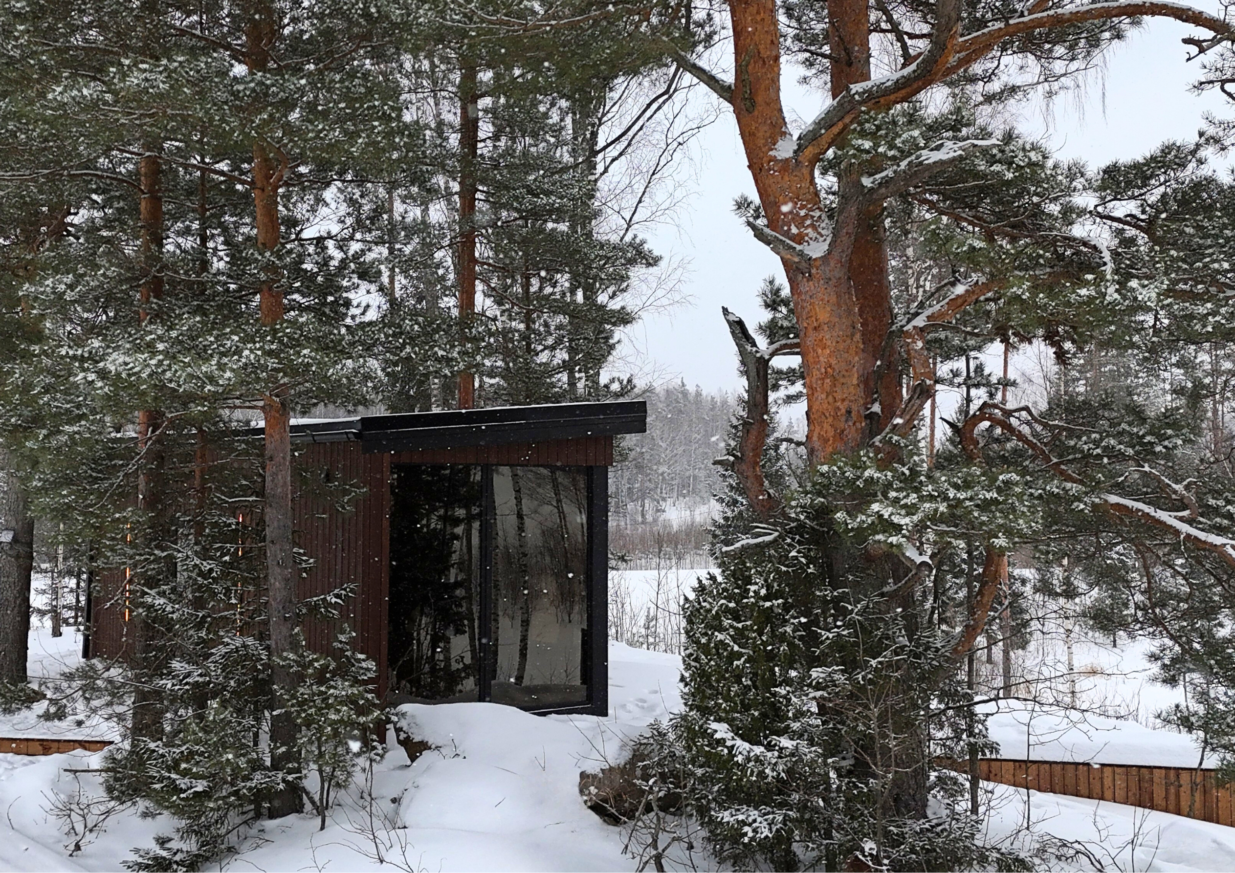 Forest Villa view 4